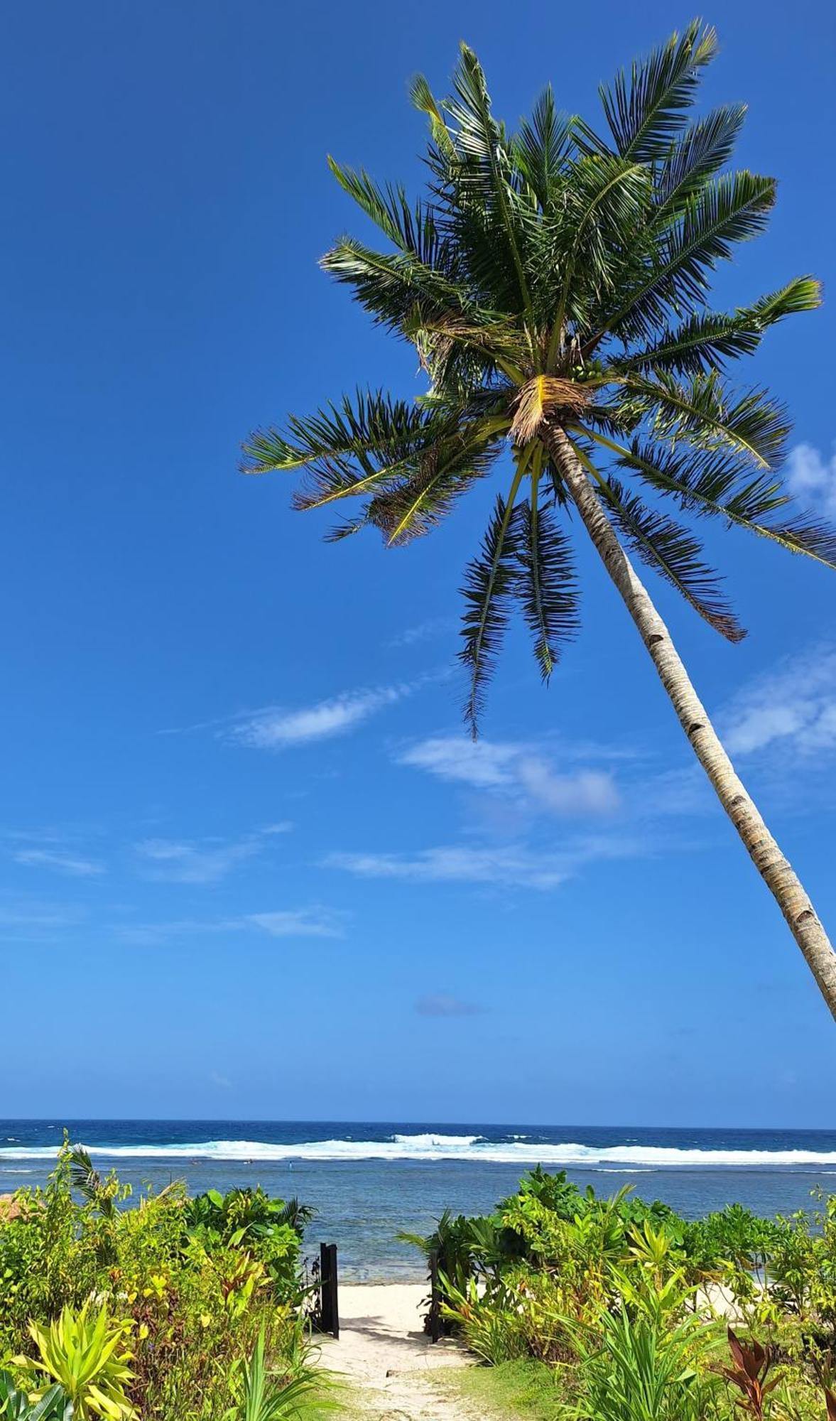 Bamboo Surf Beach San Isidro  Экстерьер фото